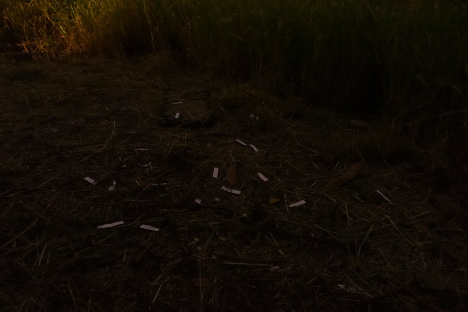 2016-just-give-me-space-aftershot-01