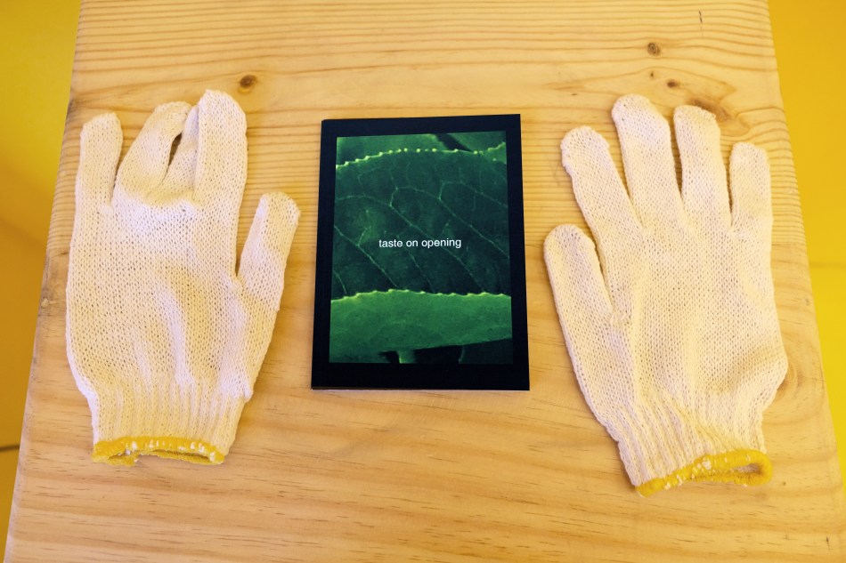 2018 Artsist book front (edit)